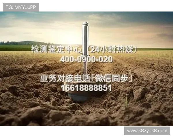 K8凯发在线登录入口安全登录技巧，保障账号信息安全与顺畅体验