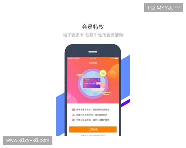 K8视讯亚游的VIP会员制度：专属权益与个性化服务介绍