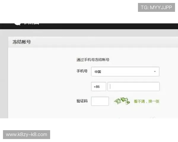凯发登录手机登录流程中的安全验证步骤详解