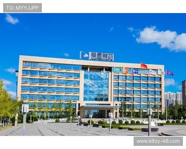 天生凯发官网：用户体验优化与技术支持持续升级